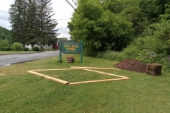 The shape of things to come for Margaretville’s first wildflower garden