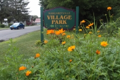 Margaretville wildflower garden August 7, 2020