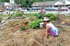 Kelley Edkins tending plants