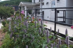 What a difference a day makes!