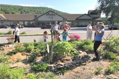 S3-garden-and-guests